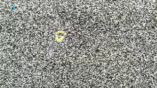 The noise completely covers the image at key moments.