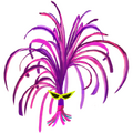 Thumbnail for version as of 17:47, 28 August 2019