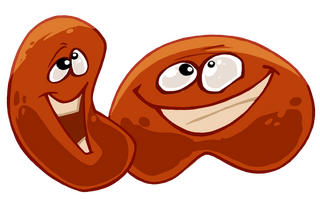 A pair of beans.