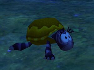 Tortoise R3.jpg