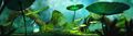 Thumbnail for version as of 12:07, 22 November 2023