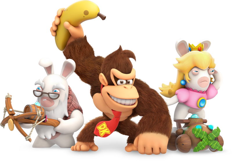 File:Rabbidpeachanddonkey.png
