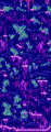 Thumbnail for version as of 14:13, 26 January 2021