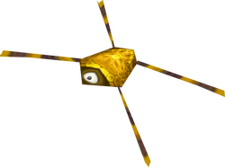 Water bug